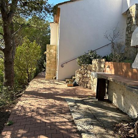 Portel-des-Corbieres Grand T2 Bis Avec Terrasse Et Vue 아파트 외부 사진